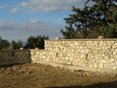 Gallery - Landscape Architecture - Photo 10