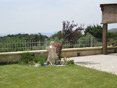 Gallery - Landscape Architecture - Photo 13