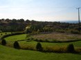 Gallery - Landscape Architecture - Photo 4