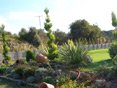 Gallery - Landscape Architecture - Photo 5