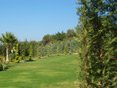 Gallery - Landscape Architecture - Photo 6