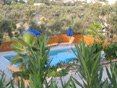 Gallery - Landscape Architecture - Photo 7
